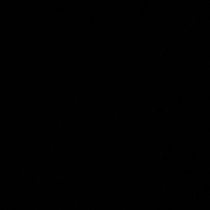 Meet your Posher, Kam